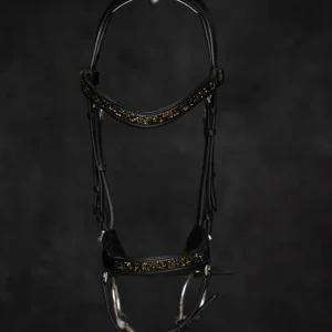Anatomische Trense Basic - Gold/Schwarz